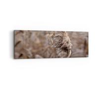 Quadro su Tela 90x30cm Boho Spighe Di Grano Erba Stampe Immagini Quadri Murale