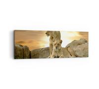 Quadro su Tela 90x30cm Leoni tramonto rocce artigli Stampe Immagini Murale