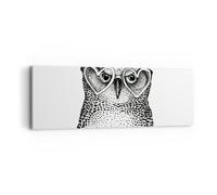 Quadro su Tela 90x30cm moda design gufo acquarello Stampe Immagini Quadri Murale