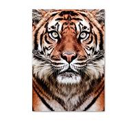 Quadro su Tela Dipinto con Tigre Bianca e Nera Foto Poster nordici e Stampe Immagini da Parete per Club per la Decorazione del Soggiorno 60x80 cm / 23,6 "x 31,5" Senza Cornice