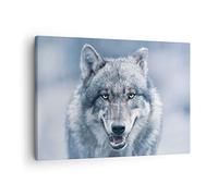 Quadro su Tela Lupo predatore natura selvaggia Stampe da Parete 70x50cm Quadri Moderni Soggiorno Camera da Letto Cucina 1 pezzo Piccoli Decorazione Murale Wall Art Canvas Grafica Immagini AA70x50-5073