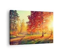Quadro su Tela 70x50cm parco autunno albero Stampe Immagini Quadri Murale
