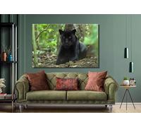 Quadro su tela raffigurante una pantera nera, immagine di animali selvatici, stampa su tela di animali, poster e stampe di gatti, per soggiorno, arredamento per la casa (70x100 cm/cornice interna)