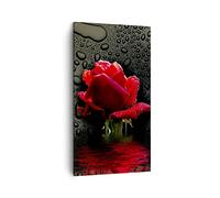 Quadro su Tela Verticale 45x80cm Stampe da Parete Fiore rosa rossa acqua rugiada Piccoli Decorazione Murale Camera da Letto 1 pezzo Quadri Moderni Soggiorno Immagini Wall Art Canvas PA45x80-2367