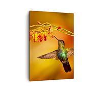 Quadro su Tela Verticale 50x70cm Stampe da Parete colibrì uccello estate Piccoli Decorazione Murale Camera da Letto Cucina 1 pezzo Quadri Moderni Soggiorno Immagini Wall Art Canvas PA50x70-3490