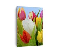 Quadro su Tela Verticale 50x70cm Stampe da Parete Tulipani Bouquet fiori rugiada Piccoli Decorazione Murale Camera da Letto 1 pezzo Quadri Moderni Soggiorno Immagini Wall Art Canvas PA50x70-2526
