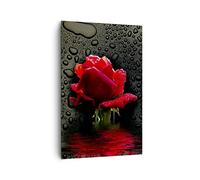 Quadro su Tela Verticale Fiore rosa rossa acqua rugiada Stampe da Parete 80x120cm Quadri Moderni Soggiorno Camera da Letto 1 pezzo Grandi Decorazione Murale Wall Art Canvas Immagini PA80x120-2367