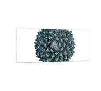 Quadro su Vetro 100x40cm Agave Regina Vittoria Stampe Immagini Moderni Murale