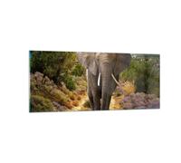 Quadro su Vetro 100x40cm Animali Africa elefante camminare Stampe Moderni Murale