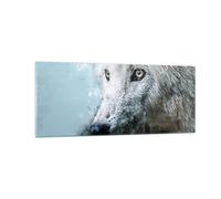 Quadro su Vetro 100x40cm Bianco il lupo foto Stampe Immagini Moderni Murale