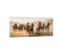 Quadro su Vetro 100x40cm Cavalli Deserto Dune Stampe Immagini Moderni Murale