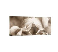 Quadro su Vetro 100x40cm Fiori Boho Senza Stampe Immagini Quadri Moderni Murale