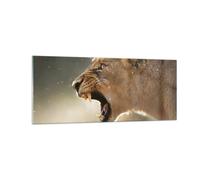 Quadro su Vetro 100x40cm Leone Leonessa Zanne Stampe Immagini Moderni Murale