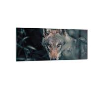 Quadro su Vetro 100x40cm Lupo foresta predatore Stampe Immagini Moderni Murale