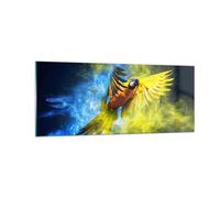 Quadro su Vetro 100x40cm pappagallo uccello piuma Stampe Immagini Moderni Murale