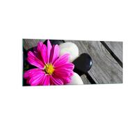 Quadro su Vetro 100x40cm Pietra fiore petali crisantemo Stampe Moderni Murale