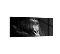 Quadro su Vetro 100x40cm Scimmia Gorilla Ritratto Stampe Immagini Moderni Murale