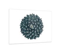 Quadro su Vetro 100x70cm Agave Regina Vittoria Stampe Immagini Moderni Murale
