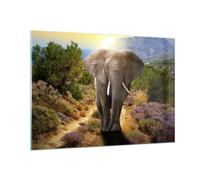 Quadro su Vetro 100x70cm Animali Africa elefante camminare Stampe Moderni Murale