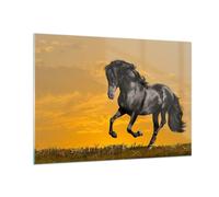Quadro su Vetro 100x70cm Animali cavallo correndo prato Stampe Moderni Murale