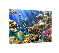 Quadro su Vetro 100x70cm Barriera corallina oceano granchio pesce Stampe Murale