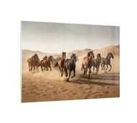 Quadro su Vetro 100x70cm Cavalli Deserto Dune Stampe Immagini Moderni Murale