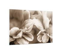 Quadro su Vetro 100x70cm Fiori Boho Senza Stampe Immagini Quadri Moderni Murale