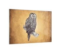 Quadro su Vetro 100x70cm Gufo Uccello Animale Stampe Immagini Moderni Murale