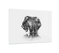 Quadro su Vetro 100x70cm orso animale Stampe Immagini Quadri Moderni Murale