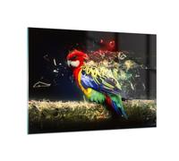 Quadro su Vetro 100x70cm pappagallo uccello piuma Stampe Immagini Moderni Murale