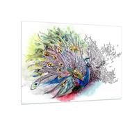 Quadro su Vetro 100x70cm pavone piuma colore Stampe Immagini Moderni Murale