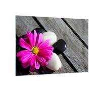 Quadro su Vetro 100x70cm Pietra fiore petali crisantemo Stampe Moderni Murale