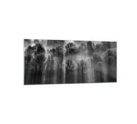 Quadro su Vetro 120x50cm Alberi Dentro Nebbia Stampe Immagini Moderni Murale