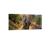 Quadro su Vetro 120x50cm Animali Africa elefante camminare Stampe Moderni Murale