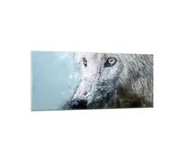 Quadro su Vetro 120x50cm Bianco il lupo foto Stampe Immagini Moderni Murale