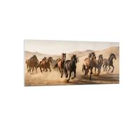 Quadro su Vetro 120x50cm Cavalli Deserto Dune Stampe Immagini Moderni Murale