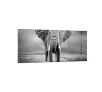 Quadro su Vetro 120x50cm Elefante natura selvaggia natura Stampe Moderni Murale