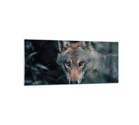 Quadro su Vetro 120x50cm Lupo foresta predatore Stampe Immagini Moderni Murale