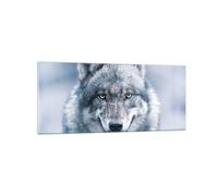 Quadro su Vetro 120x50cm Lupo predatore natura selvaggia Stampe Moderni Murale