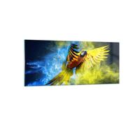 Quadro su Vetro 120x50cm pappagallo uccello piuma Stampe Immagini Moderni Murale