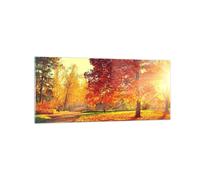 Quadro su Vetro 120x50cm parco autunno albero Stampe Immagini Moderni Murale
