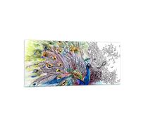Quadro su Vetro 120x50cm pavone piuma colore Stampe Immagini Moderni Murale