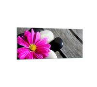 Quadro su Vetro 120x50cm Pietra fiore petali crisantemo Stampe Moderni Murale