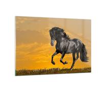 Quadro su Vetro 120x80cm Animali cavallo correndo prato Stampe Moderni Murale