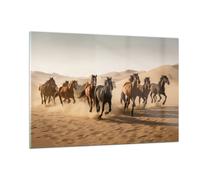 Quadro su Vetro 120x80cm Cavalli Deserto Dune Stampe Immagini Moderni Murale