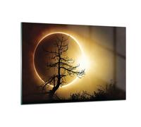 Quadro su Vetro 120x80cm Eclipse il sole l'albero Stampe Immagini Moderni Murale