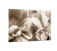 Quadro su Vetro 120x80cm Fiori Boho Senza Stampe Immagini Quadri Moderni Murale