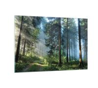 Quadri Moderni Soggiorno La foresta l'alba il sole Quadro su Vetro 120x80cm Stampe da Parete in Vetro Camera da Letto Cucina 1 pezzo Wall Art Grandi XXL Decorazione Murale Immagini GAA120x80-4398