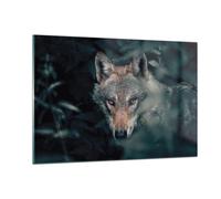 Quadro su Vetro 120x80cm Lupo foresta predatore Stampe Immagini Moderni Murale