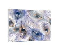 Quadro su Vetro 120x80cm pavone piuma moderno Stampe Immagini Moderni Murale